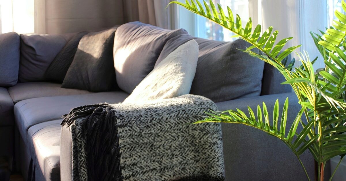 観葉植物とブランケットが映える落ち着いたソファ空間
